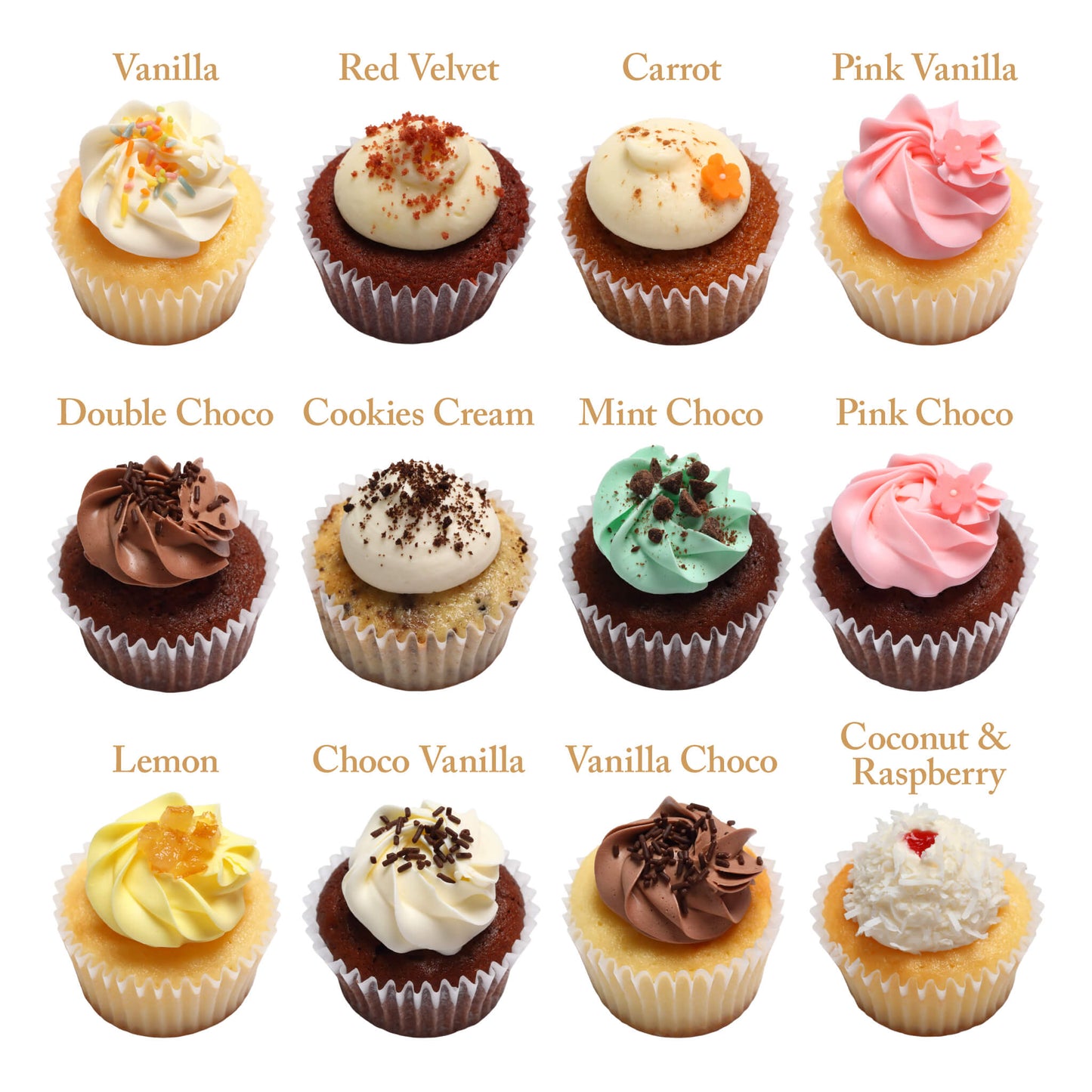 Assorted selection (6 pieces / 12 pieces / 18 pieces / 24 pieces) *Shipped sequentially within 3-4 days