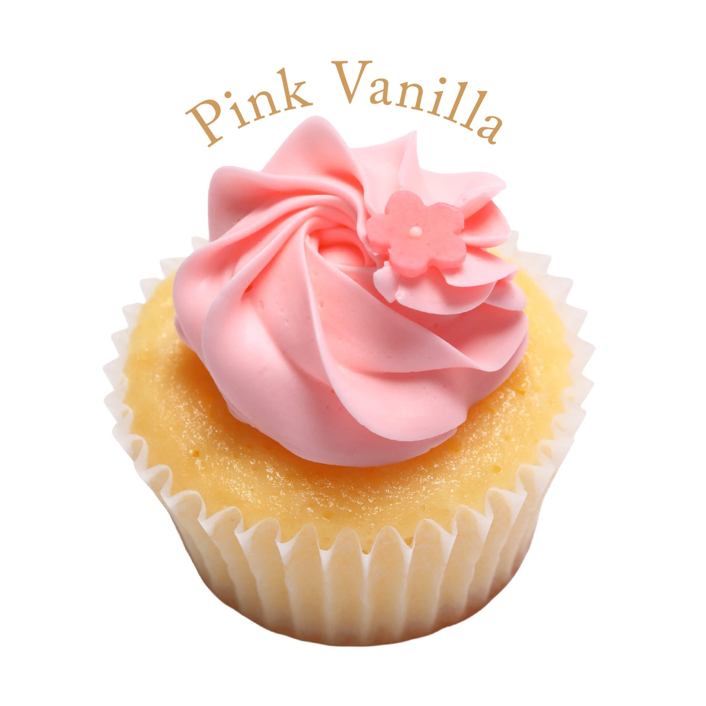 Assorted selection (6 pieces / 12 pieces / 18 pieces / 24 pieces) *Shipped sequentially within 3-4 days