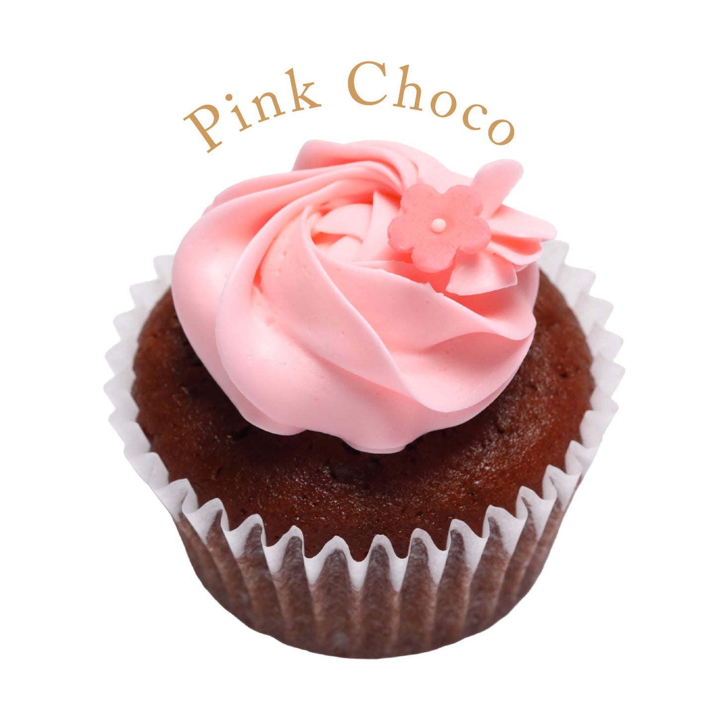 Assorted selection (6 pieces / 12 pieces / 18 pieces / 24 pieces) *Shipped sequentially within 3-4 days