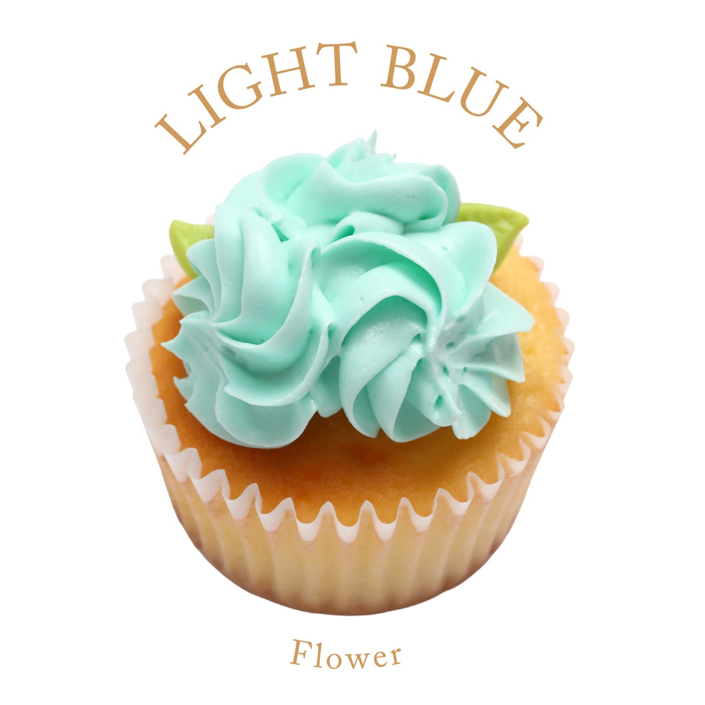 Flower Birthday Box (6 boxes) *Shipped sequentially within 3-4 days