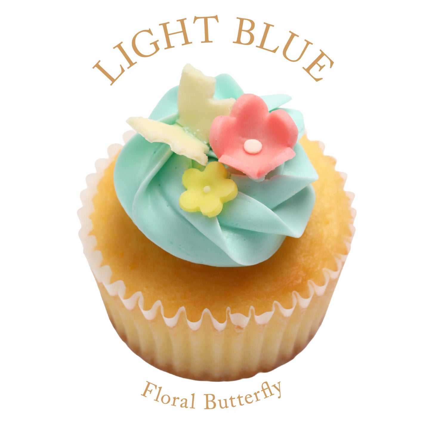 Flower Birthday Box (6 boxes) *Shipped sequentially within 3-4 days