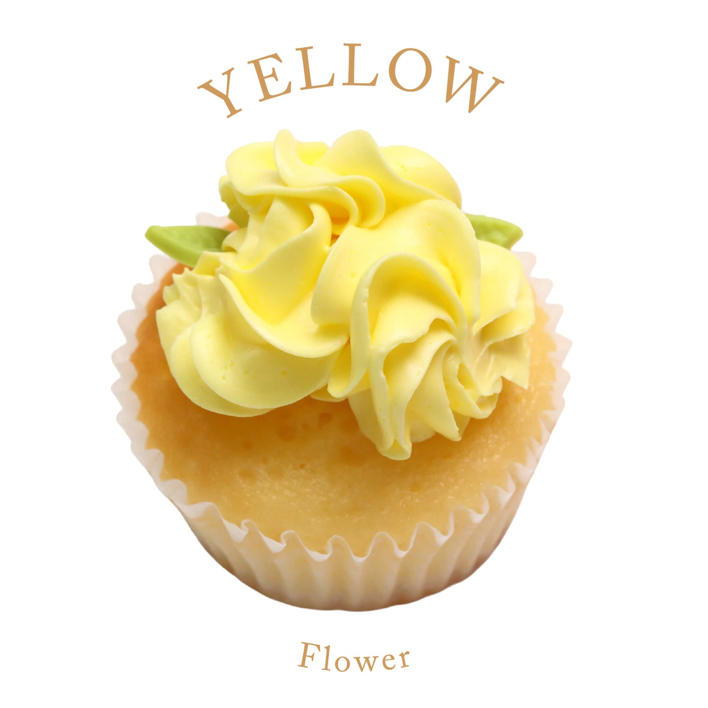 Flower Birthday Box (6 boxes) *Shipped sequentially within 3-4 days