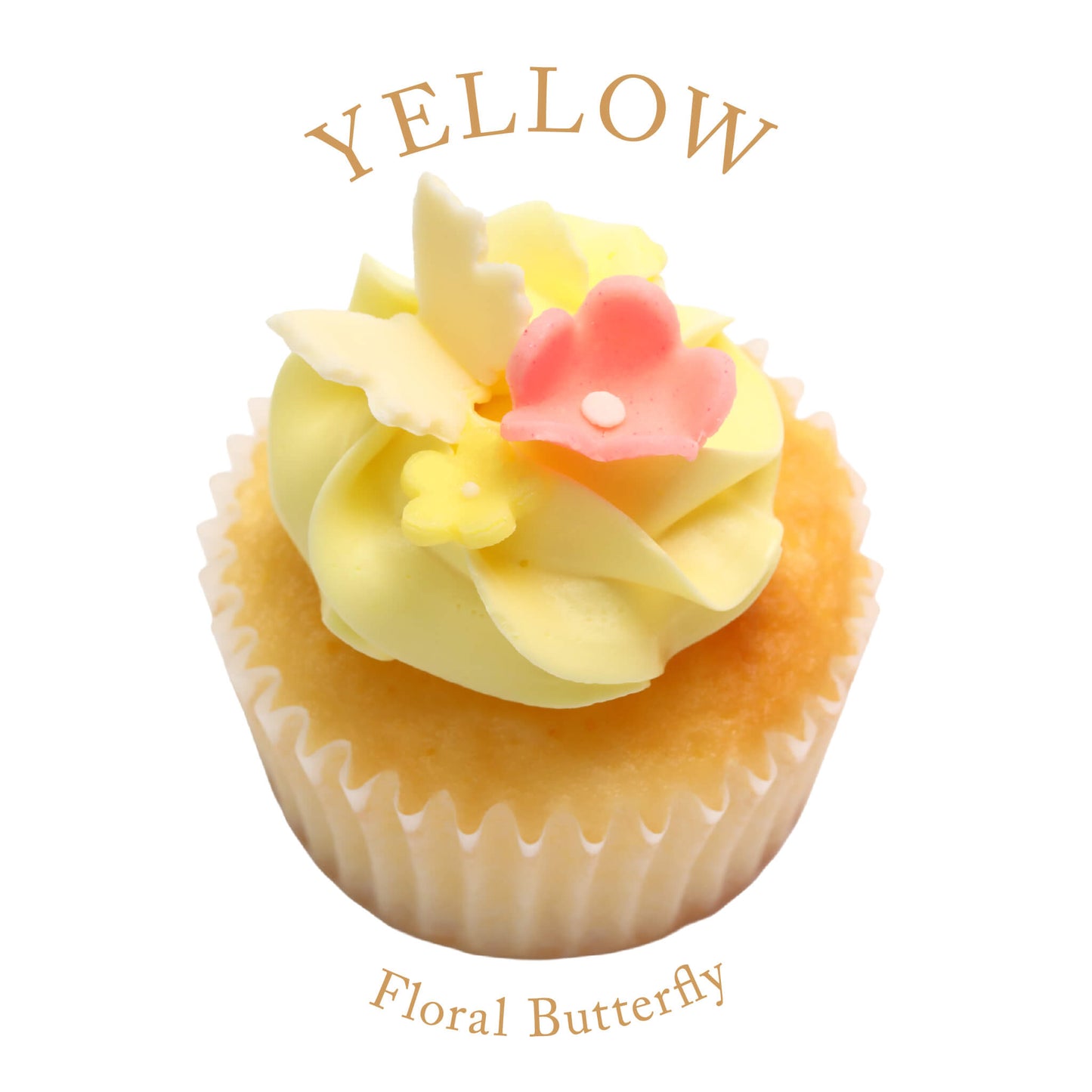 Flower Birthday Box (6 boxes) *Shipped sequentially within 3-4 days