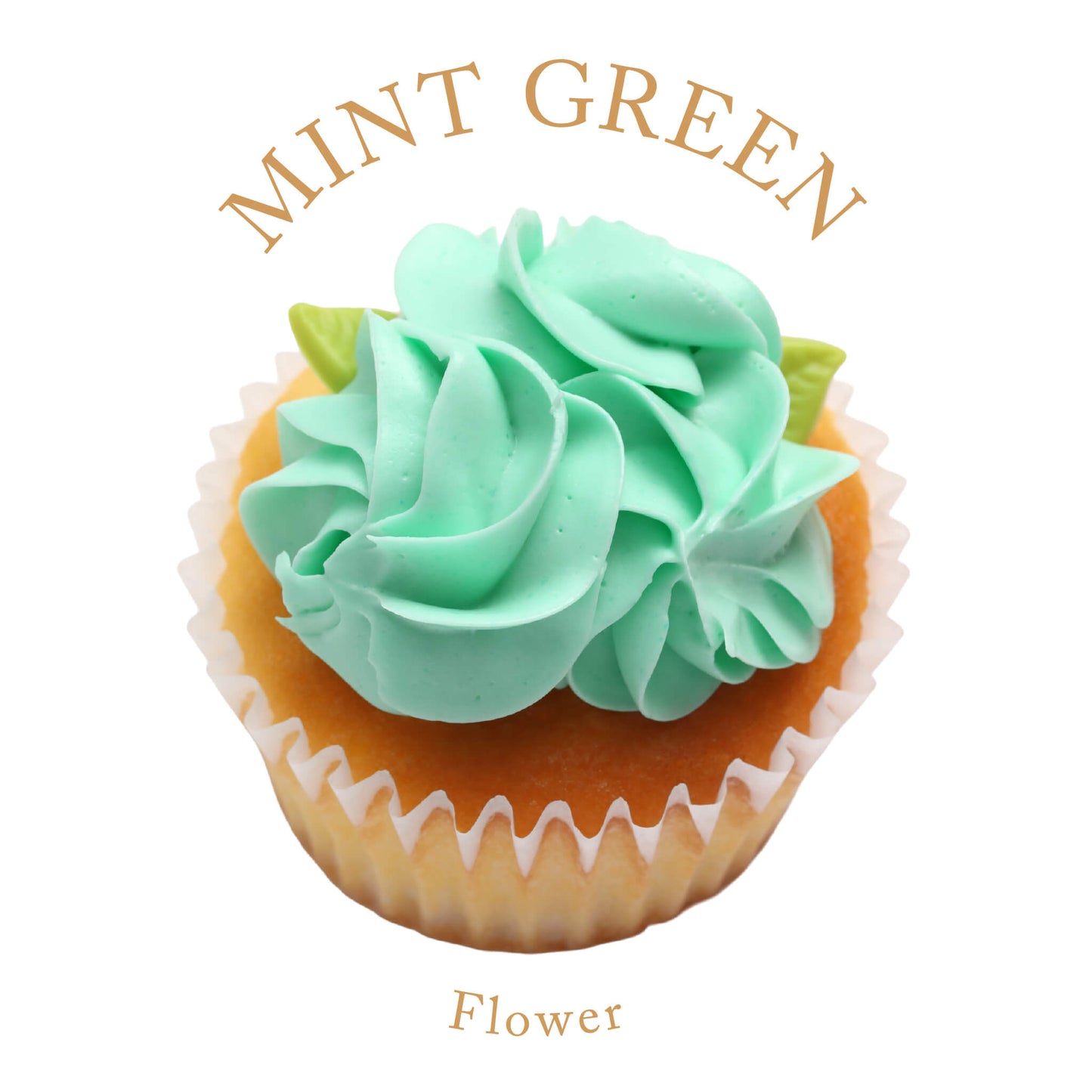 Flower Birthday Box (6 boxes) *Shipped sequentially within 3-4 days