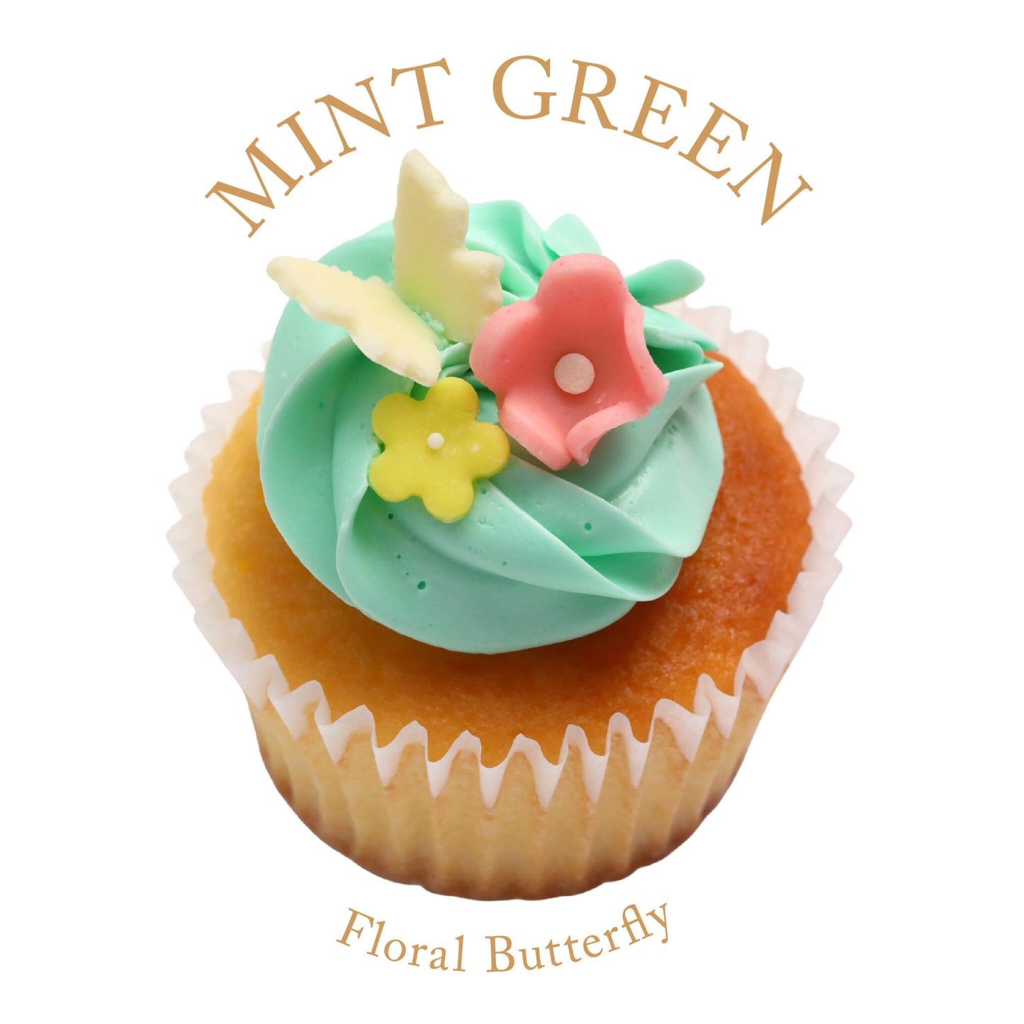 Flower Birthday Box (6 boxes) *Shipped sequentially within 3-4 days