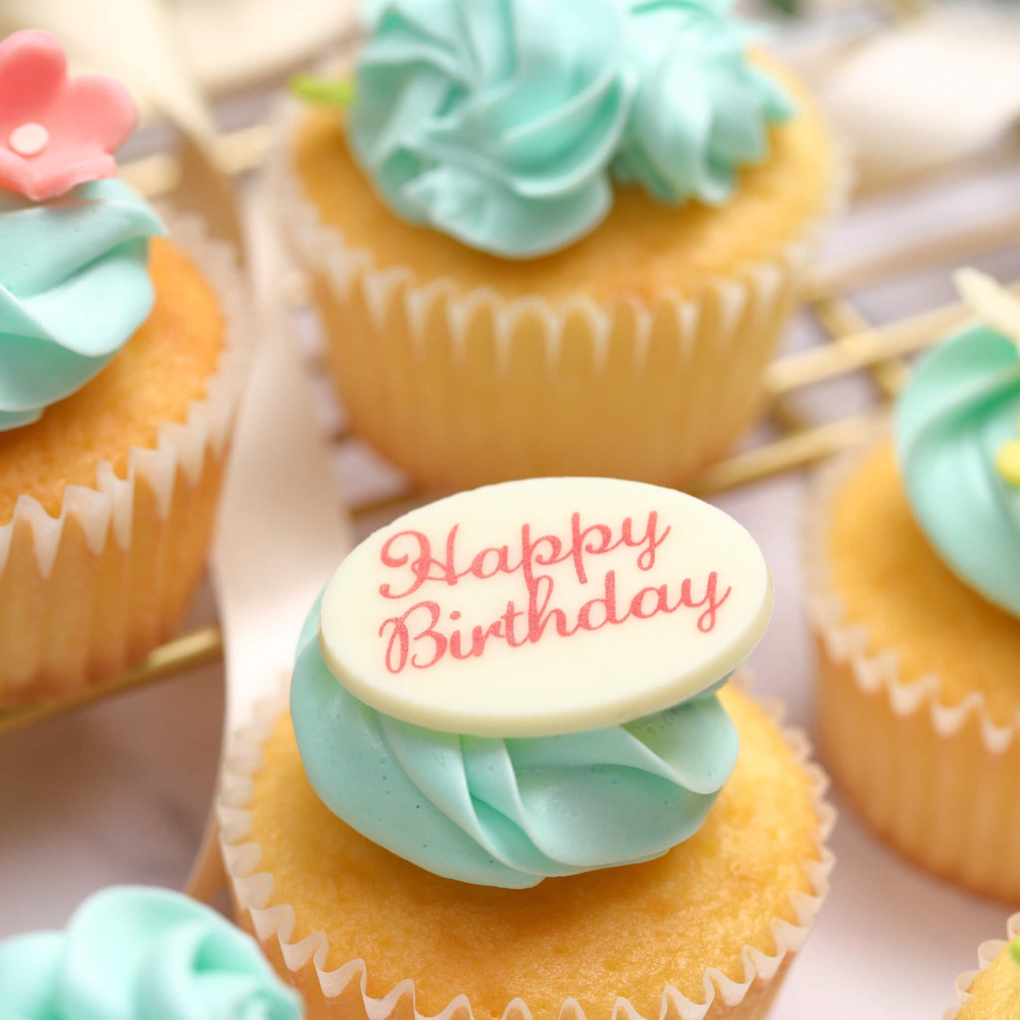 Flower Birthday Box (6 boxes) *Shipped sequentially within 3-4 days