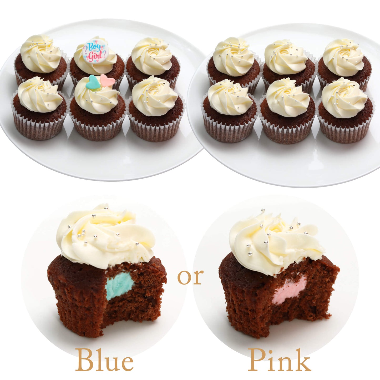 Gender Reveal Cupcakes Box（6個 / 12個）※3～4日以内順次発送