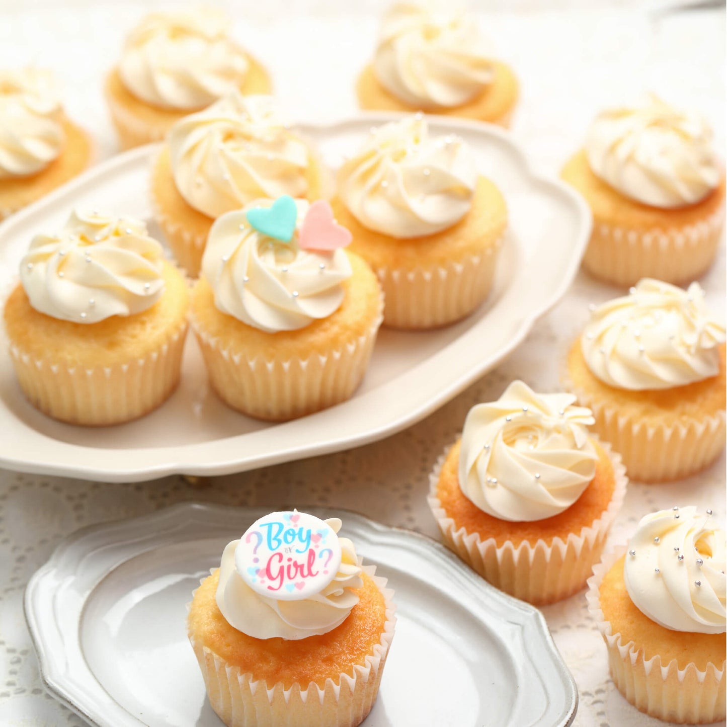 Gender Reveal Cupcakes Box（6個 / 12個）※3～4日以内順次発送