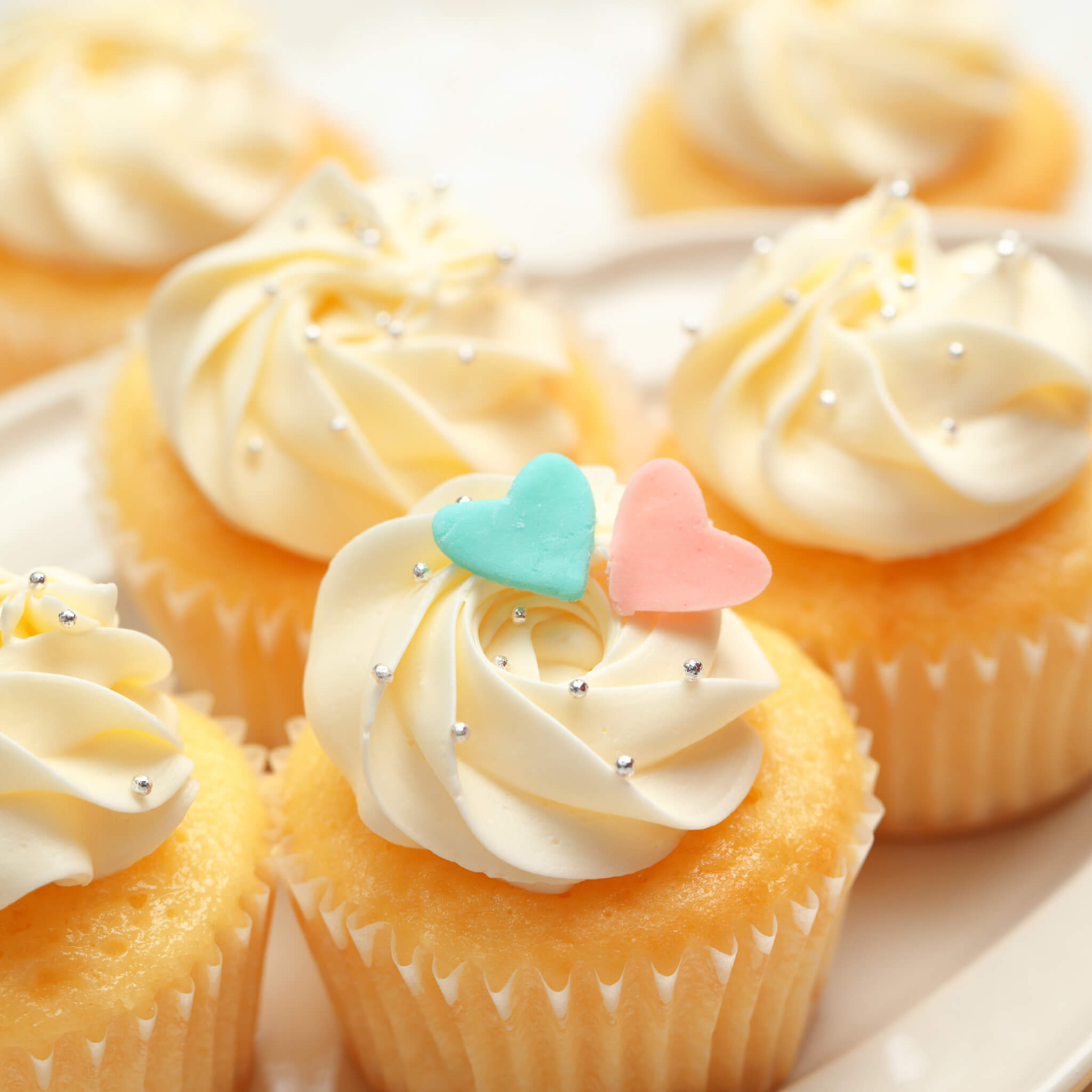 Gender Reveal Cupcakes Box（6個 / 12個）3～4日以内順次発送【送料