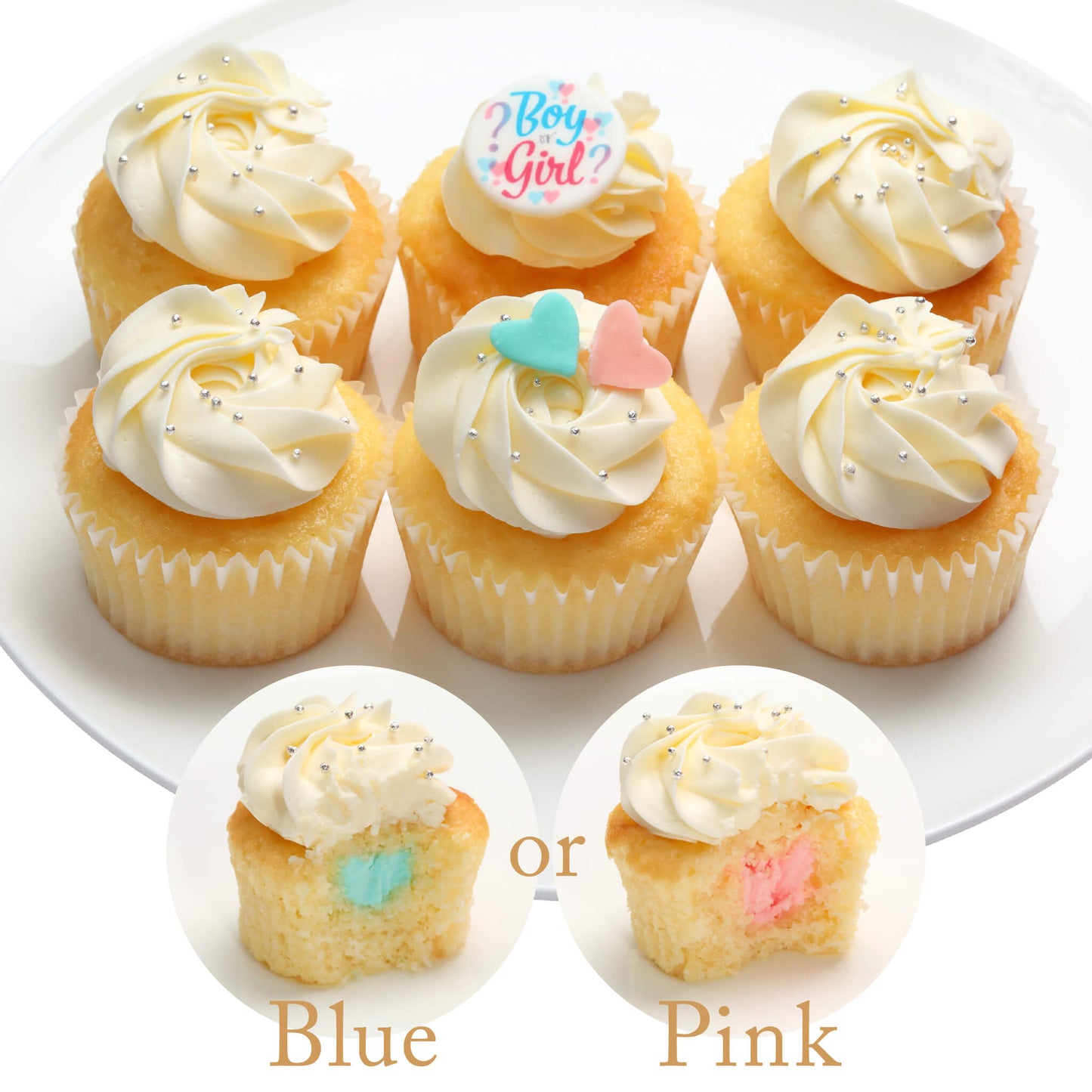 Gender Reveal Cupcakes Box（6個 / 12個）※3～4日以内順次発送