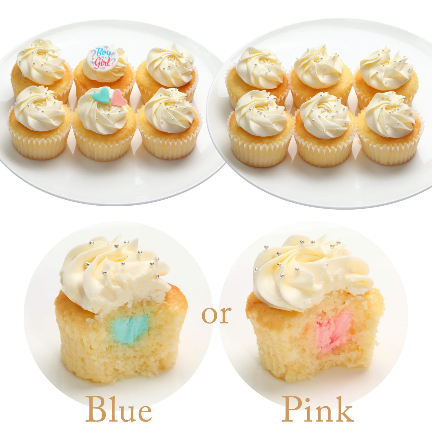 Gender Reveal Cupcakes Box（6個 / 12個）※3～4日以内順次発送