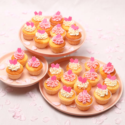 ミニSAKURA満開ボックス（12個/24個｜さくら色）※3～4日以内順次発送