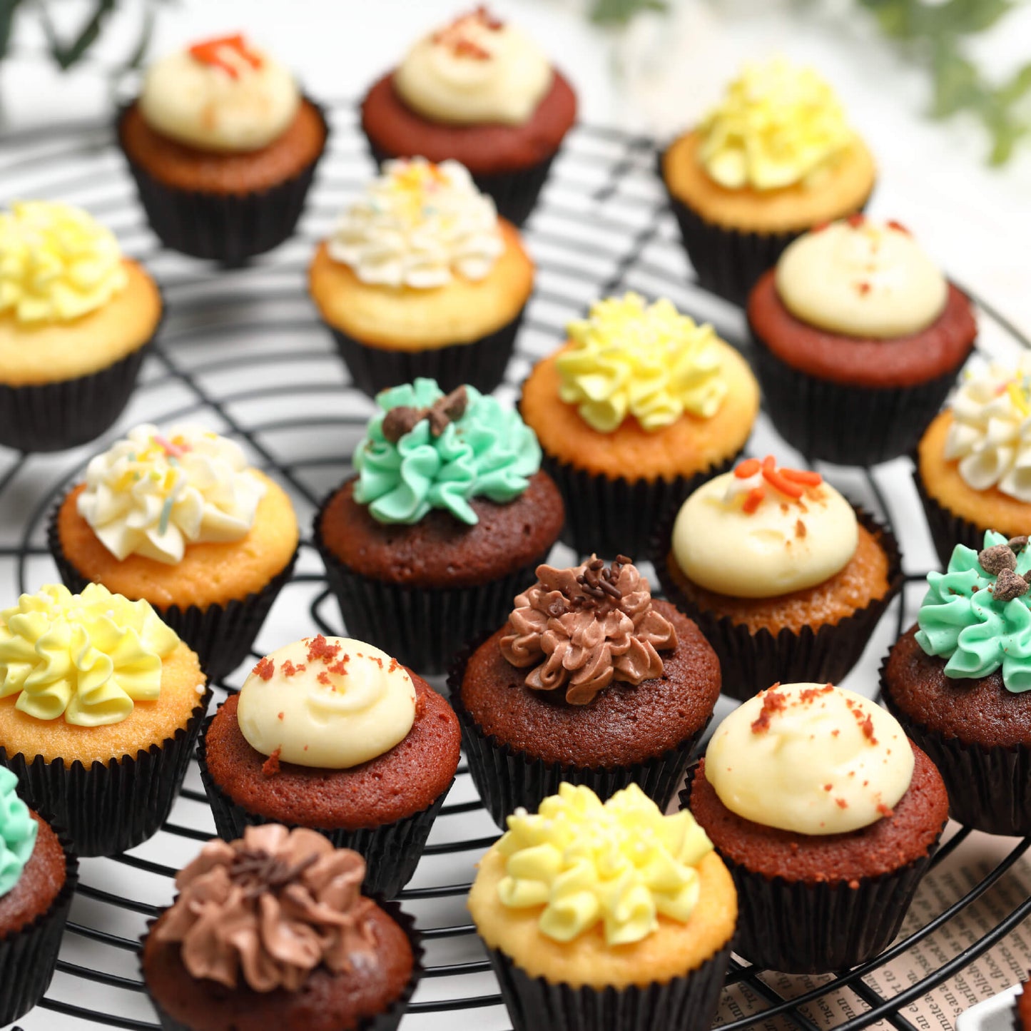 Mini Assortment Cupcakes (24/48 pieces) *Shipped sequentially within 3-4 days
