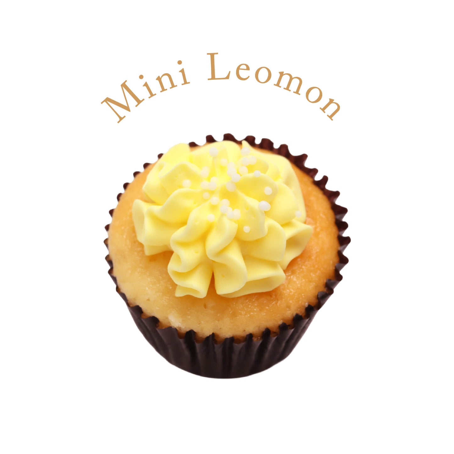 Mini Assortment Cupcakes (24/48 pieces) *Shipped sequentially within 3-4 days