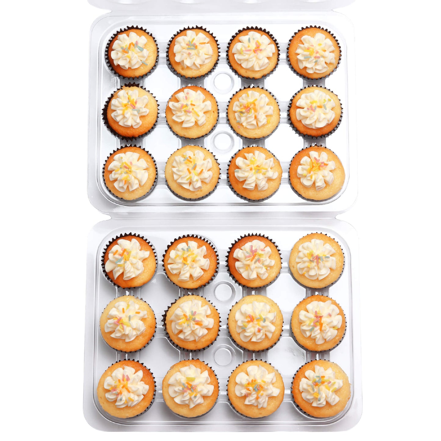 ミニバニラカップケーキ（24個）※3～4日以内順次発送