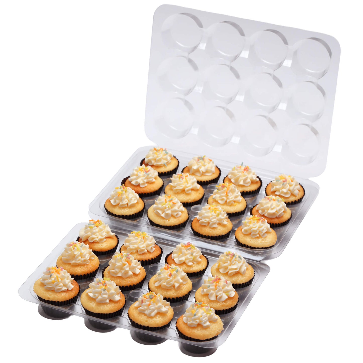 ミニバニラカップケーキ（24個）※3～4日以内順次発送