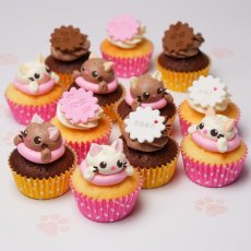 Photo1: Cat Cupcake Box(Cute|12pcs|Vanilla&Choco) (1)