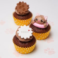 Photo6: Cat Cupcake Box(Cute|12pcs|Vanilla&Choco) (6)