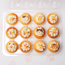 Photo3: Mini Cat Box (24 Vanilla&Double choc) (3)